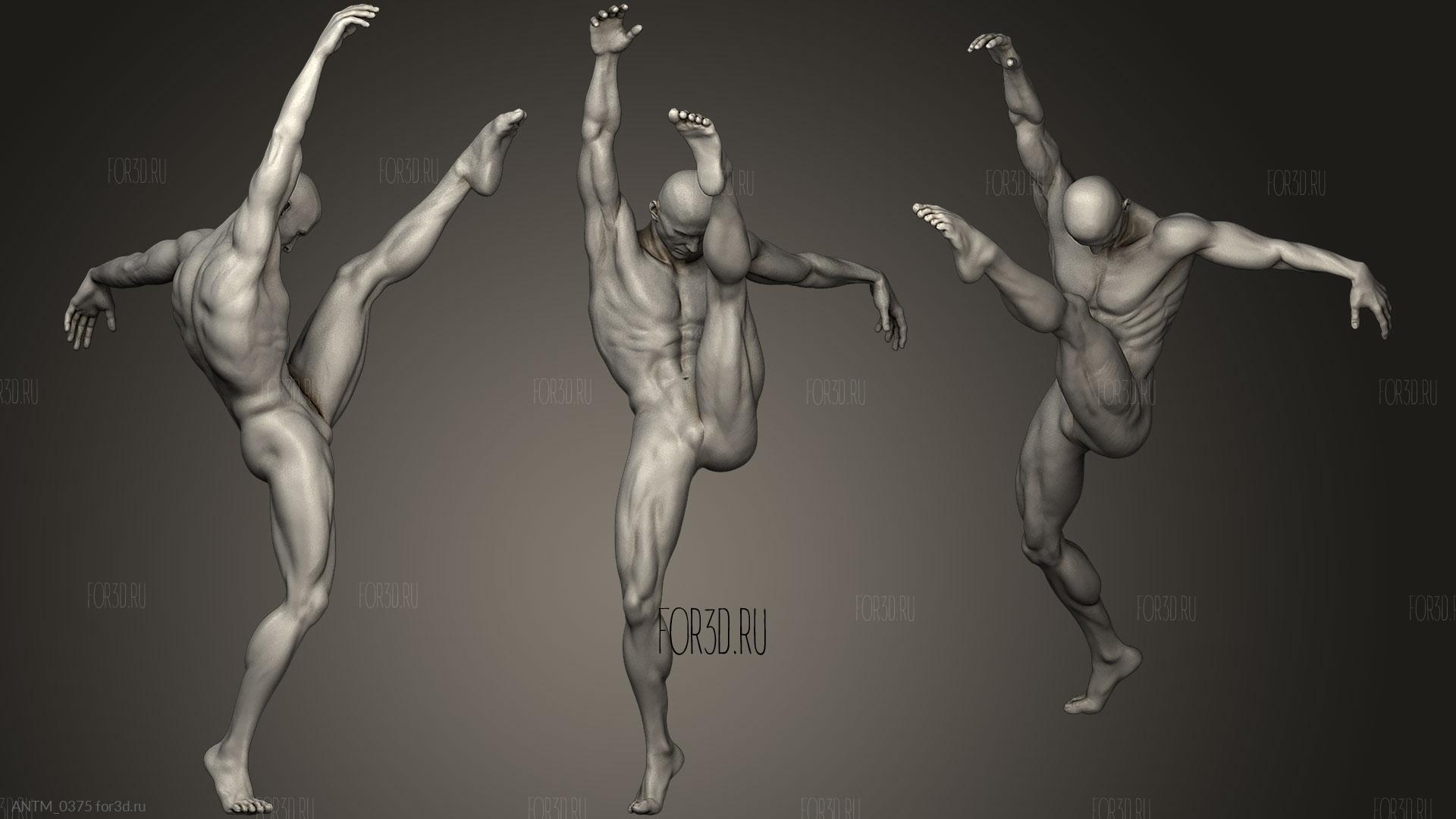 Ballroom dancers in dancing poses - Stock Image - Everypixel